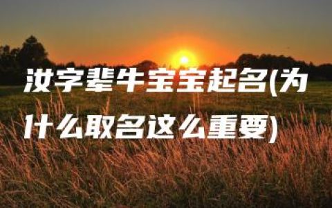 汝字辈牛宝宝起名(为什么取名这么重要)