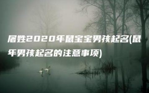 屠姓2020年鼠宝宝男孩起名(鼠年男孩起名的注意事项)