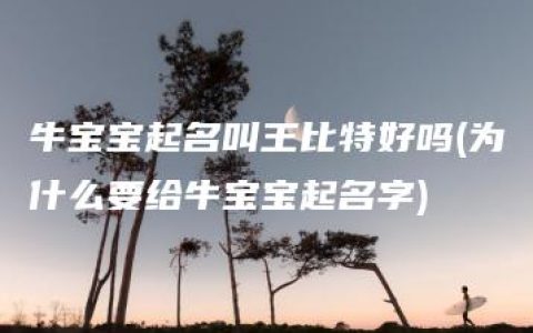 牛宝宝起名叫王比特好吗(为什么要给牛宝宝起名字)