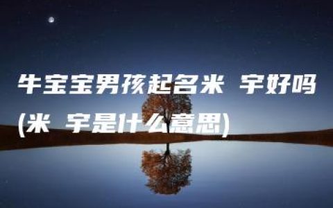 牛宝宝男孩起名米玥宇好吗(米玥宇是什么意思)