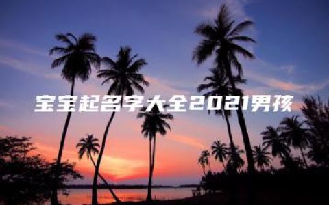 宝宝起名字大全2021男孩