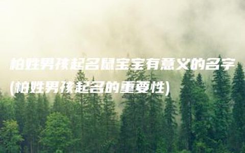 柏姓男孩起名鼠宝宝有意义的名字(柏姓男孩起名的重要性)