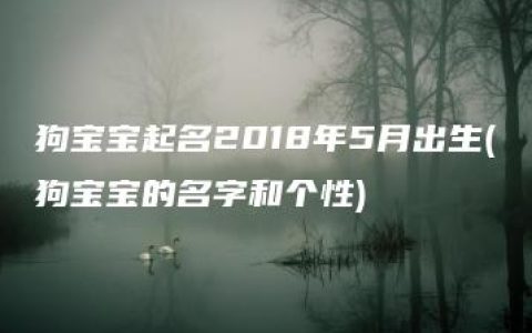 狗宝宝起名2018年5月出生(狗宝宝的名字和个性)