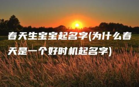 春天生宝宝起名字(为什么春天是一个好时机起名字)