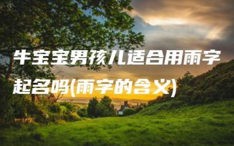 牛宝宝男孩儿适合用雨字起名吗(雨字的含义)