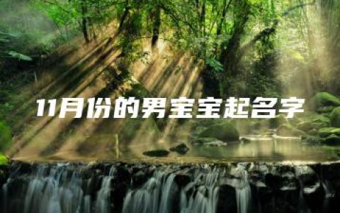 11月份的男宝宝起名字