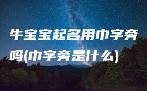 牛宝宝起名用巾字旁吗(巾字旁是什么)