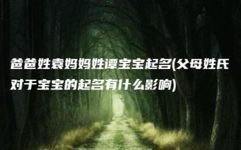 爸爸姓袁妈妈姓谭宝宝起名(父母姓氏对于宝宝的起名有什么影响)