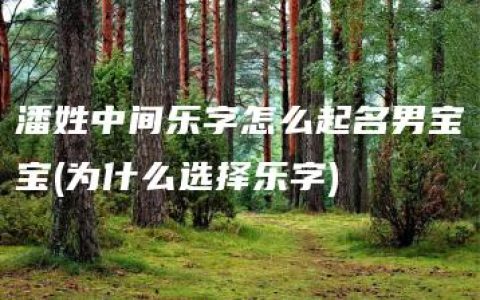 潘姓中间乐字怎么起名男宝宝(为什么选择乐字)