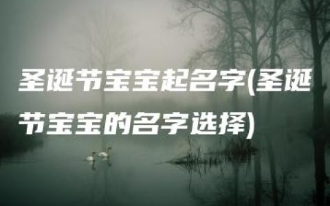 圣诞节宝宝起名字(圣诞节宝宝的名字选择)