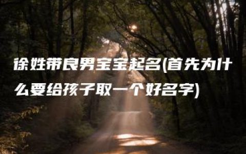 徐姓带良男宝宝起名(首先为什么要给孩子取一个好名字)