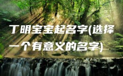 丁明宝宝起名字(选择一个有意义的名字)