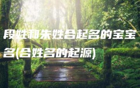 段姓和朱姓合起名的宝宝名(合姓名的起源)