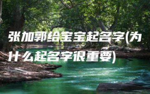 张加郭给宝宝起名字(为什么起名字很重要)