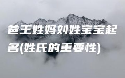 爸王姓妈刘姓宝宝起名(姓氏的重要性)