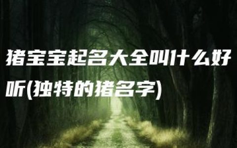 猪宝宝起名大全叫什么好听(独特的猪名字)