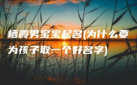 栖霞男宝宝起名(为什么要为孩子取一个好名字)