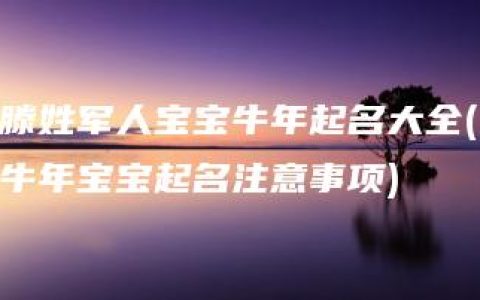 滕姓军人宝宝牛年起名大全(牛年宝宝起名注意事项)