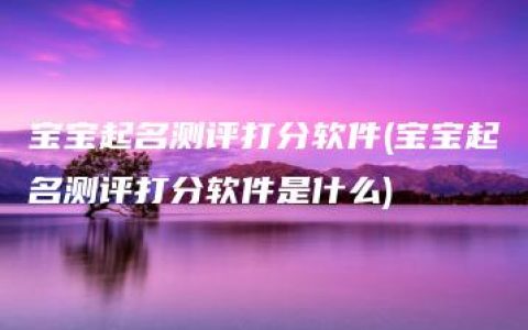 宝宝起名测评打分软件(宝宝起名测评打分软件是什么)