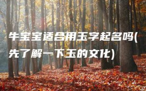 牛宝宝适合用玉字起名吗(先了解一下玉的文化)