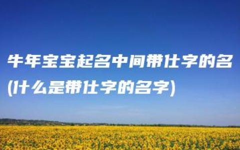 牛年宝宝起名中间带仕字的名(什么是带仕字的名字)