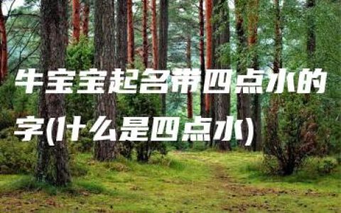 牛宝宝起名带四点水的字(什么是四点水)