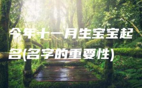 今年十一月生宝宝起名(名字的重要性)