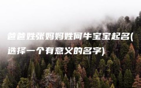 爸爸姓张妈妈姓何牛宝宝起名(选择一个有意义的名字)