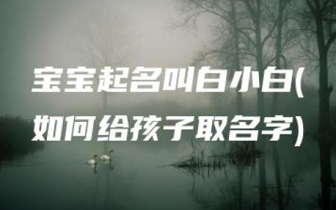 宝宝起名叫白小白(如何给孩子取名字)