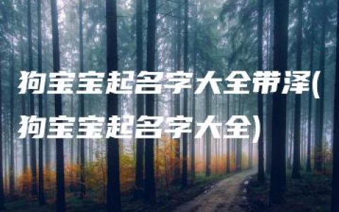 狗宝宝起名字大全带泽(狗宝宝起名字大全)