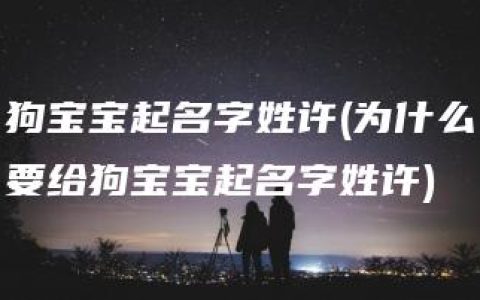 狗宝宝起名字姓许(为什么要给狗宝宝起名字姓许)