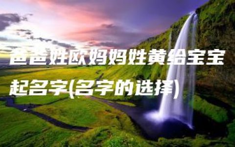 爸爸姓欧妈妈姓黄给宝宝起名字(名字的选择)