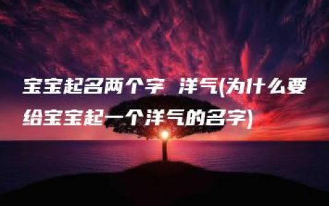 宝宝起名两个字 洋气(为什么要给宝宝起一个洋气的名字)