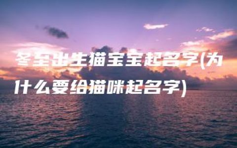 冬至出生猫宝宝起名字(为什么要给猫咪起名字)