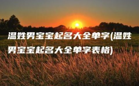 温姓男宝宝起名大全单字(温姓男宝宝起名大全单字表格)