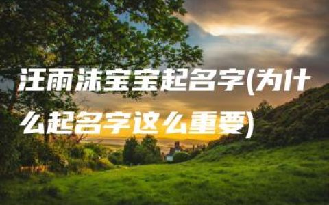 汪雨沫宝宝起名字(为什么起名字这么重要)