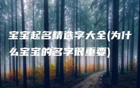 宝宝起名精选字大全(为什么宝宝的名字很重要)