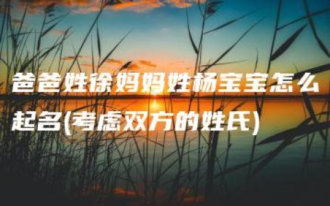 爸爸姓徐妈妈姓杨宝宝怎么起名(考虑双方的姓氏)