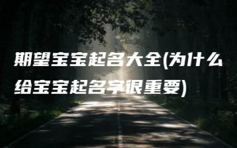 期望宝宝起名大全(为什么给宝宝起名字很重要)