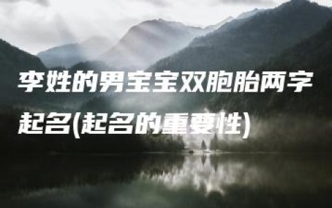 李姓的男宝宝双胞胎两字起名(起名的重要性)