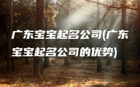 广东宝宝起名公司(广东宝宝起名公司的优势)