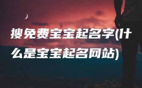 搜免费宝宝起名字(什么是宝宝起名网站)