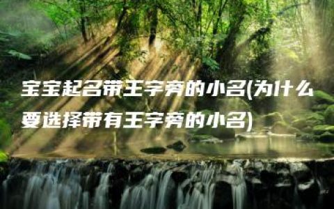 宝宝起名带王字旁的小名(为什么要选择带有王字旁的小名)