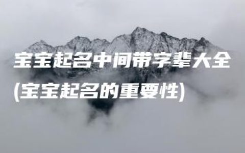 宝宝起名中间带字辈大全(宝宝起名的重要性)