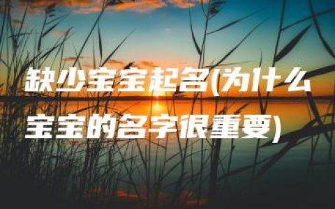 缺少宝宝起名(为什么宝宝的名字很重要)