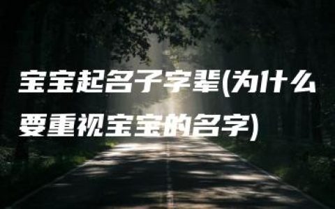 宝宝起名子字辈(为什么要重视宝宝的名字)