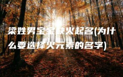 梁姓男宝宝缺火起名(为什么要选择火元素的名字)