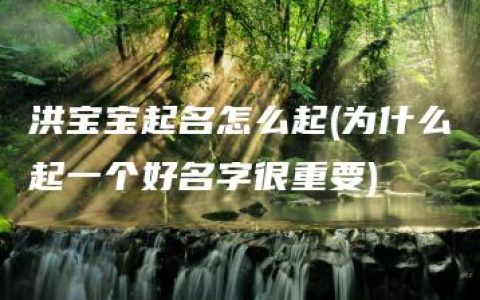 洪宝宝起名怎么起(为什么起一个好名字很重要)