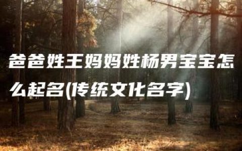 爸爸姓王妈妈姓杨男宝宝怎么起名(传统文化名字)