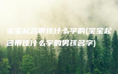 宝宝起名带佳什么字的(宝宝起名带佳什么字的男孩名字)